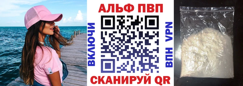 Купить закладки  Лермонтов  APVP VHQ 