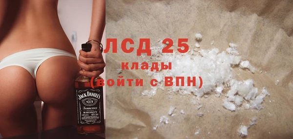 прущие грибы Верхний Тагил