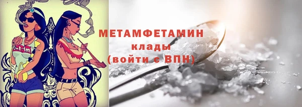 прущие грибы Верхний Тагил