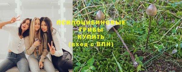 трава Верхнеуральск