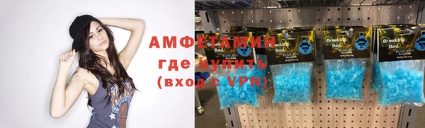 прущие грибы Верхний Тагил