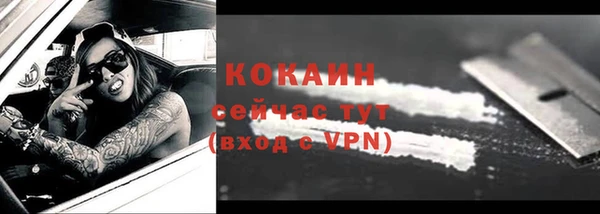 прущие грибы Верхний Тагил