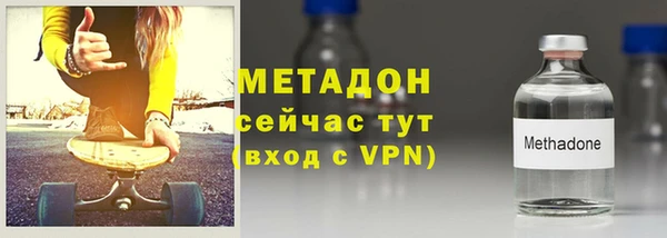 прущие грибы Верхний Тагил