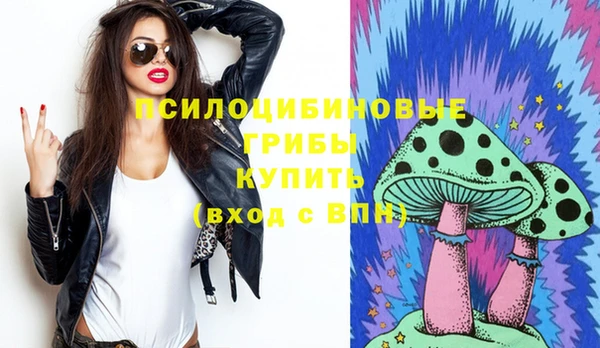 прущие грибы Верхний Тагил