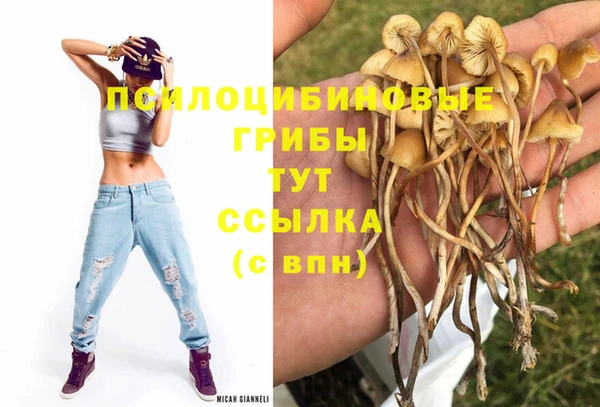 трава Верхнеуральск