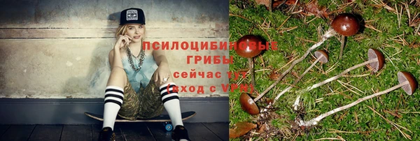 прущие грибы Верхний Тагил