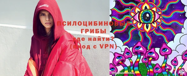 трава Верхнеуральск