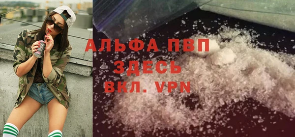 прущие грибы Верхний Тагил