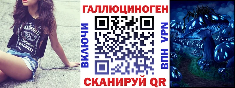 Купить где  Лермонтов  Галлюциногенные грибы Magic Shrooms 